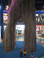  An indoor climbing setup in a shopping center. Durban, South Africa.