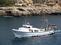  Boat coming into port, Cala Figuera