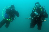 Hout Bay Diving