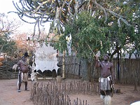  Learning about Zulu culture - Shakaland, north of Durban, South Africa