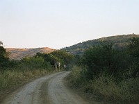  Giraffe, Hluhluwe game reserve, South Africa