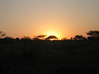  Sunrise, Hluhluwe game reserve, South Africa