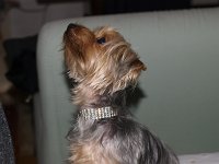 Lilly wearing her diamonte necklace