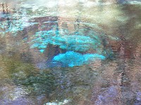  Looking down into the Devil's Eye - Ginnie Springs