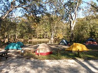  The camping area at Ginnie Springs