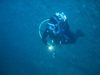  Lynn on a dive - featuring the Greenforce backup LED lamp...
