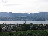  View over Zollikon