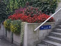  Flower beds at the Ksnacht Bahnhof (train station)