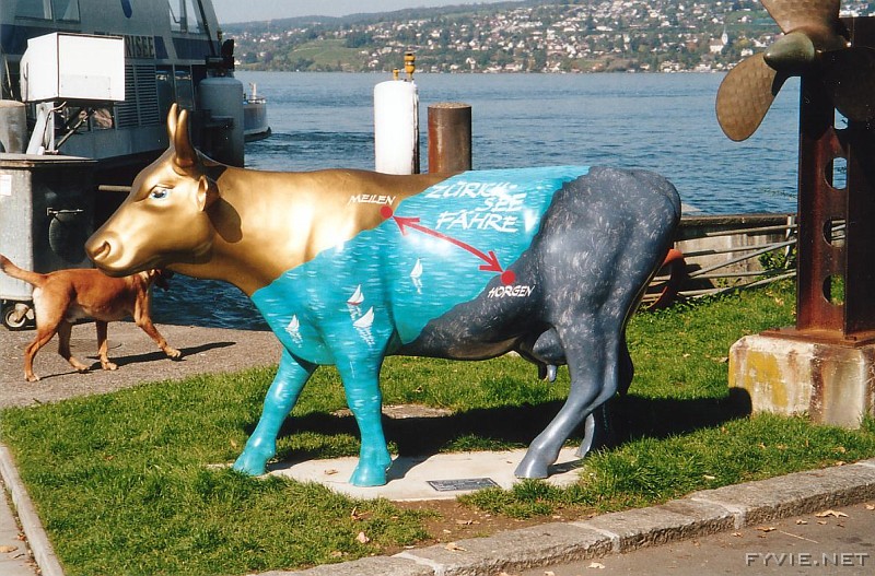 Zurisee Cow