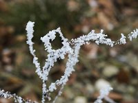  Ice on a stick - Switzerland