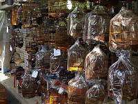  Plenty of cages on display at the Hong Kong bird markets