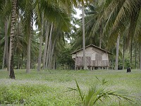  Off the beaten track on Koh Samui