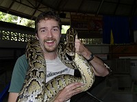  This thing was not only heavy, but it kept slithering around. Would be tiring to wear as a fashion accessory.