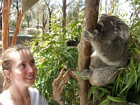  Lynn with Koala