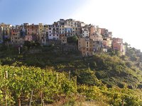  Approaching the town of Corniglia from the north