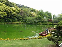  Jigoku Meguri, or burning hell. This is the name given to the springs. I visited 8 