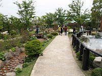  Walking around in Oniishibozu-jigoku - different pools of mud can be found around the place.