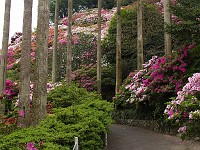  Tatsumaki-Jigoku (8) - the gardens