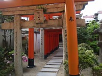  A whole series of gates leading to a prayer place