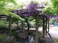  Gardens near Himeji Castle