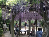  Gardens near Himeji Castle