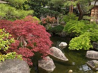  Gardens near Himeji Castle