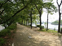  Walking down the Promenade of Peace