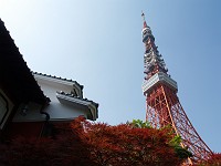  The tower is visible from the gardens of the restaurant