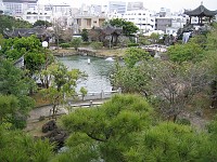  Chinese garden