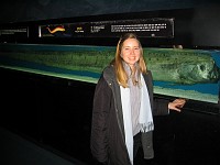  A rather mammoth fish at the aquarium