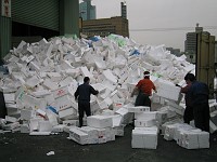  Tokyo fish markets at 7am