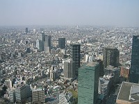  View from the government tower in Tokyo. Entry is free, observation deck was open until 11pm - best value views in Tokyo!