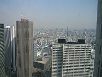  View from the government tower in Tokyo. Entry is free, observation deck was open until 11pm - best value views in Tokyo!