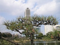  A park in central Tokyo