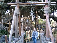  Tokyo Disneyland - Swiss Family Robinson