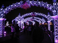  Tokyo Disneyland - waiting for the fireworks