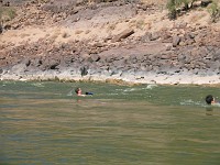  A nappy run - one wears the life jacket as a pair of shorts and rides the rapids