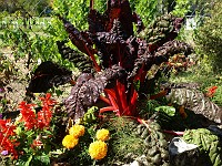  A colourful garden in a small town near Annecy