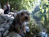  The sound of running water causes Lilly to urinate right by the river - Lynn laughs in the background.