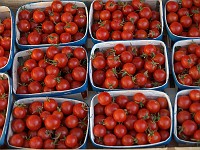  Cherry Tomatoes - exploring the market in Castellane.