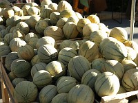  Melons - exploring the market in Castellane.