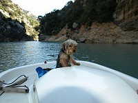  Lilly sitting on the front of the paddle boat.